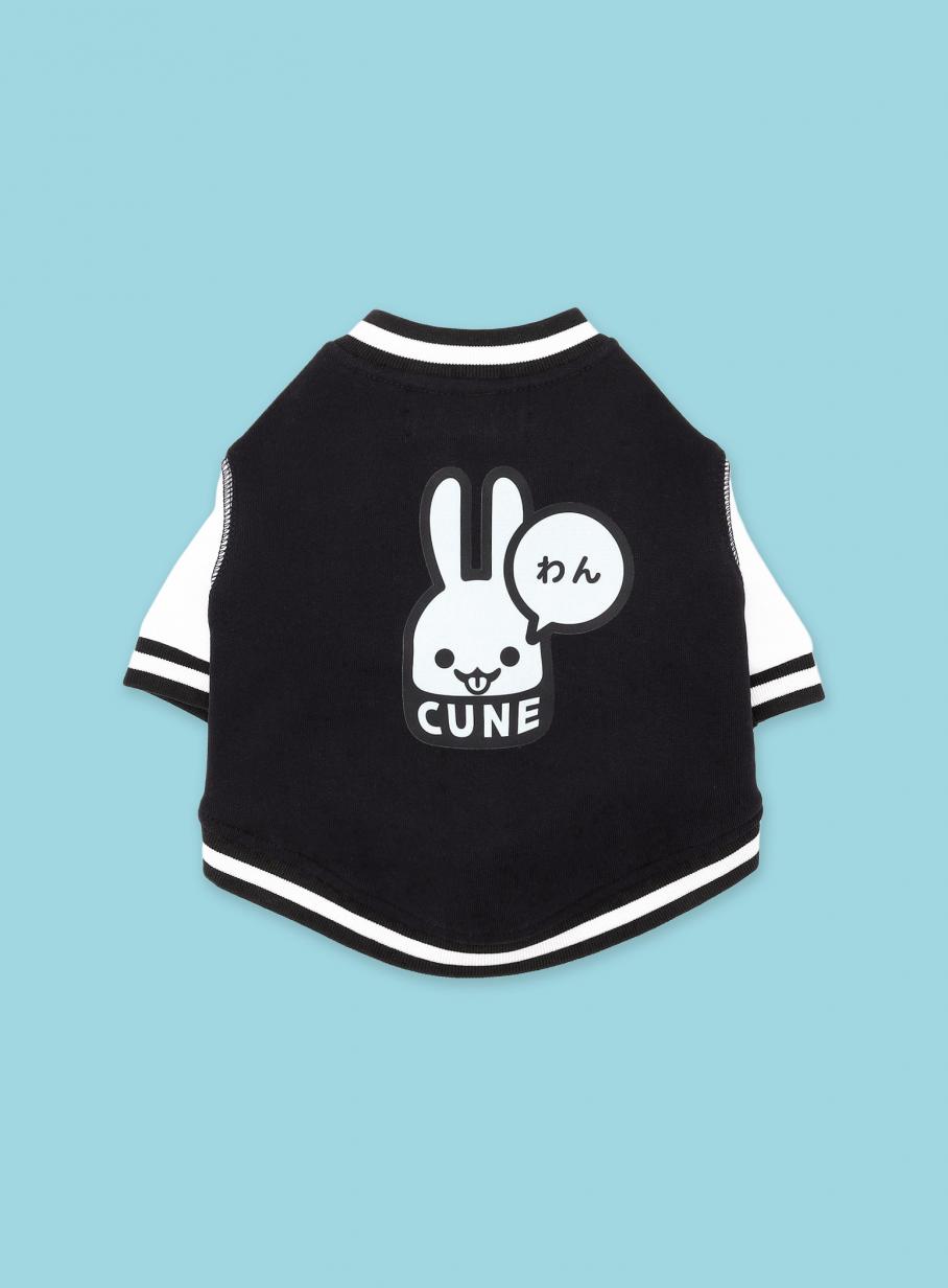 CBXKT101_main_908x1232