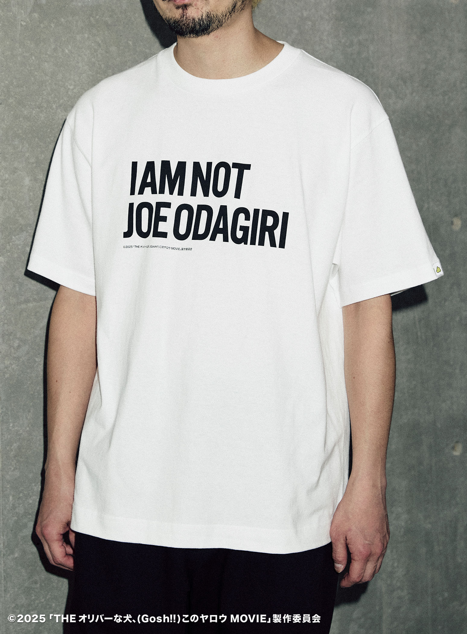https://cunjpn-prod.store-image.jp/product/OVAGT11/OVAGT11_detail_07.jpg?ts=20250922160847