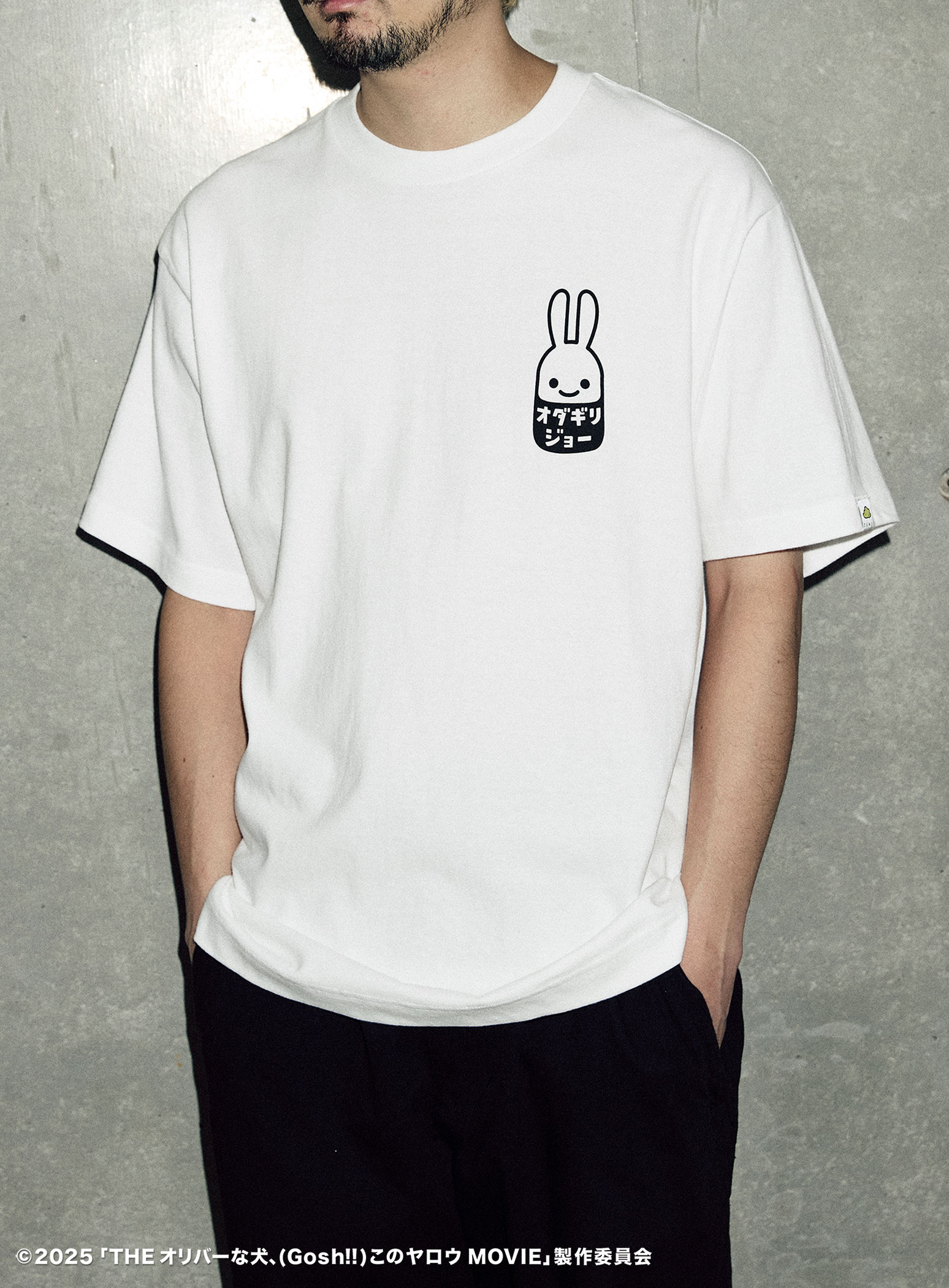 https://cunjpn-prod.store-image.jp/product/OVAGT12/OVAGT12_detail_08.jpg?ts=20250922160910