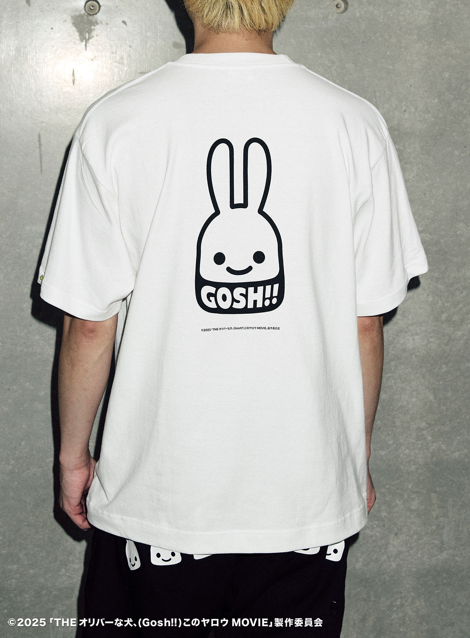 https://cunjpn-prod.store-image.jp/product/OVAGT12/OVAGT12_detail_09.jpg?ts=20250922160913