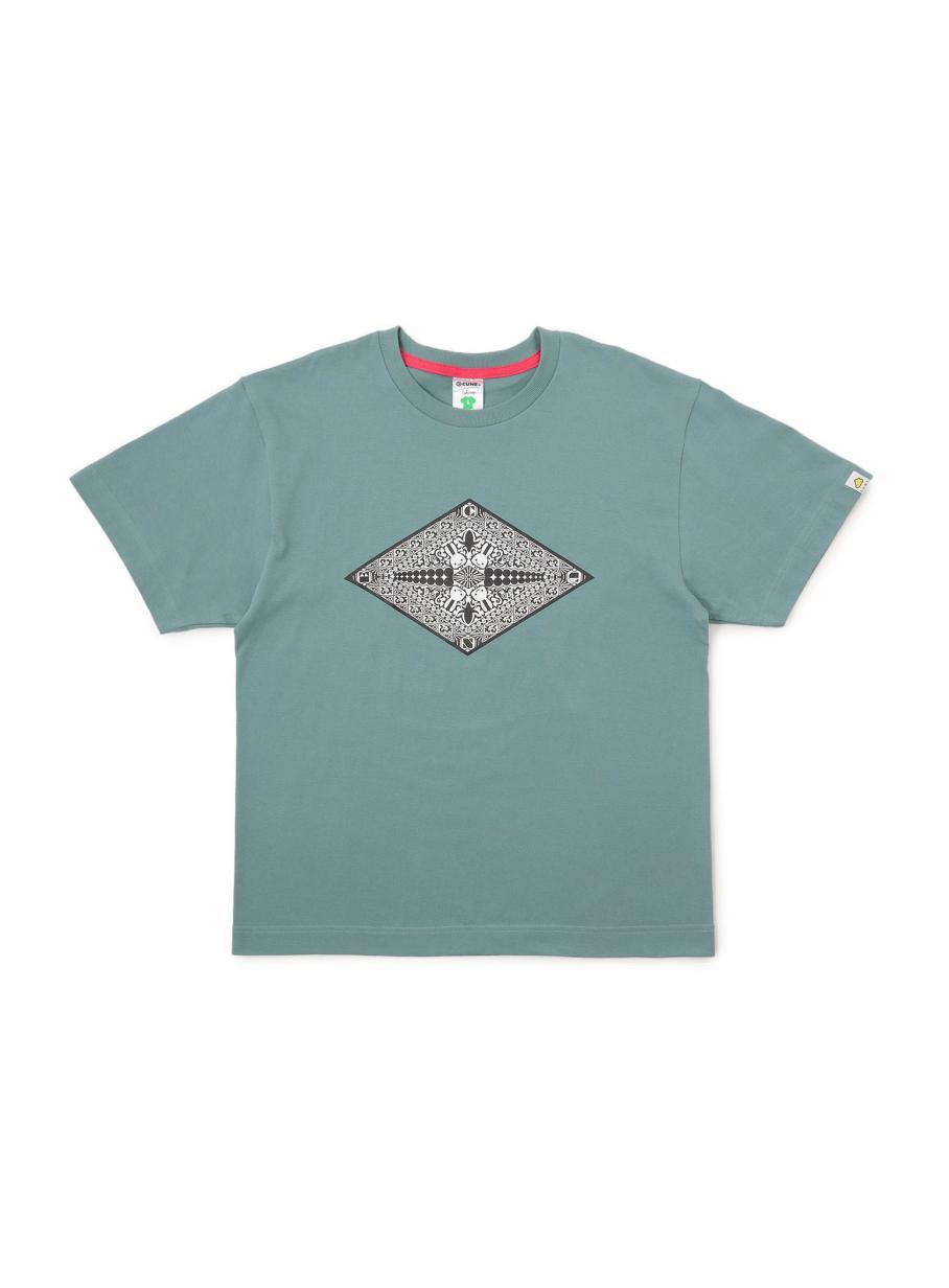 STA006_main_908x1232